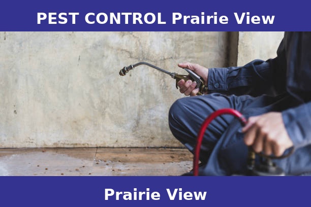 PEST CONTROL Prairie View